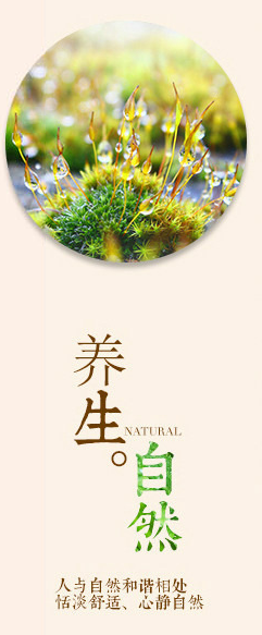 沙疗床价格